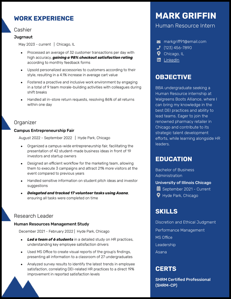 Professional Resume Template